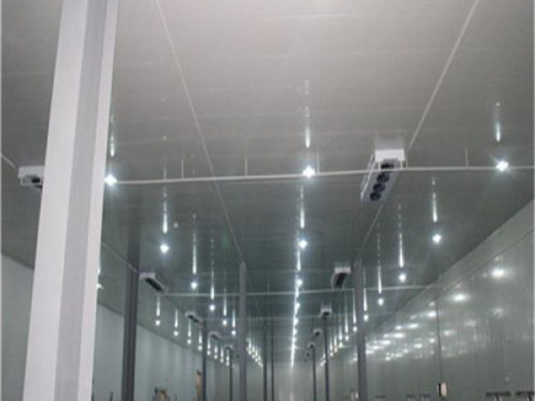 建造安裝食品低溫冷藏庫有哪些因素影響造價？